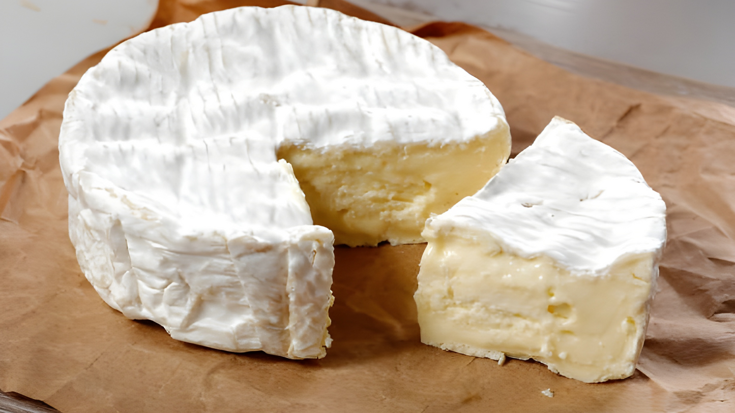 Camembert Cheese in Delhi NCR