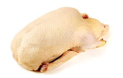 Raw Whole Duck